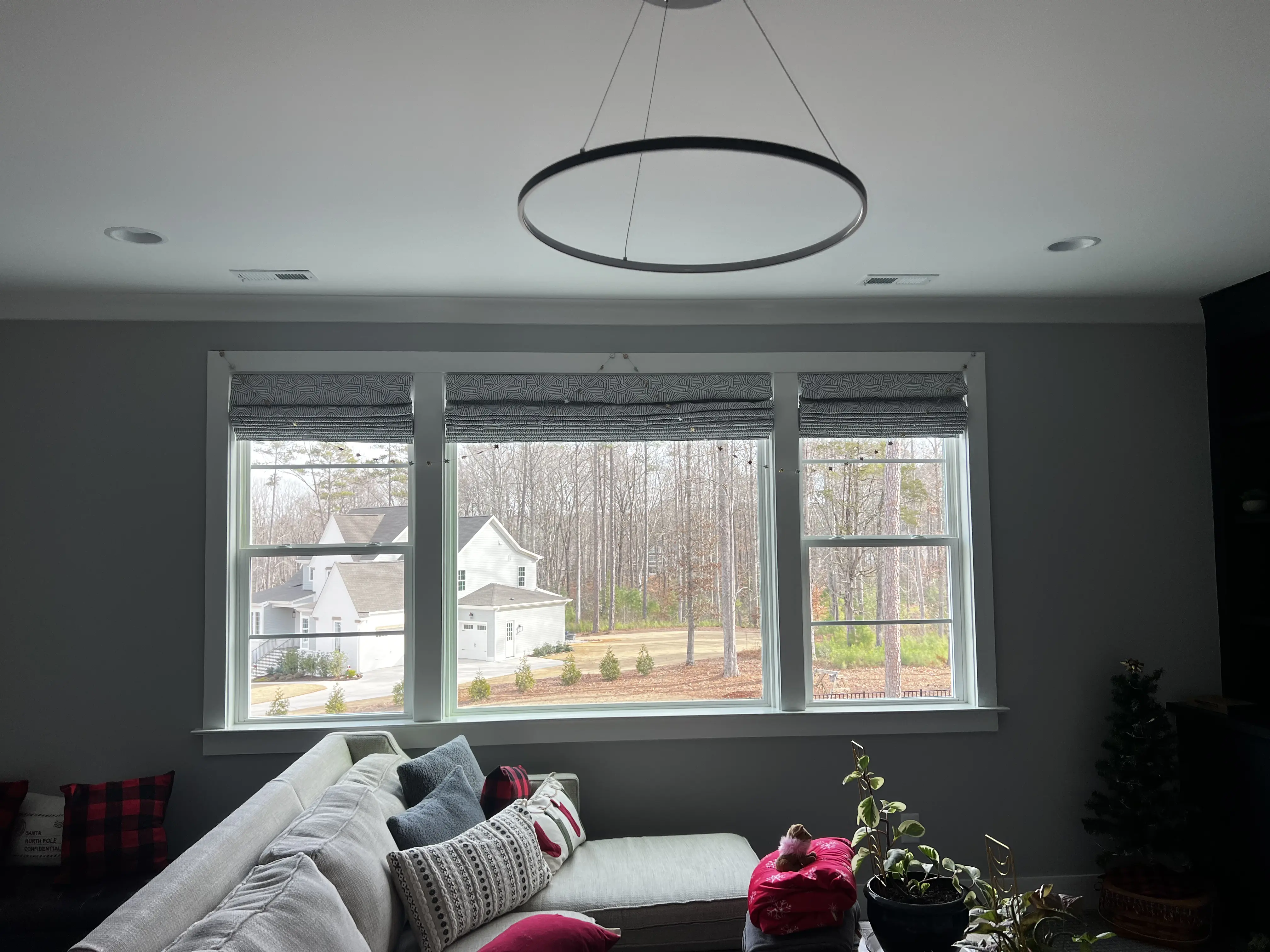 Roman Shades - image 3